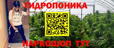каннабис Кунгур