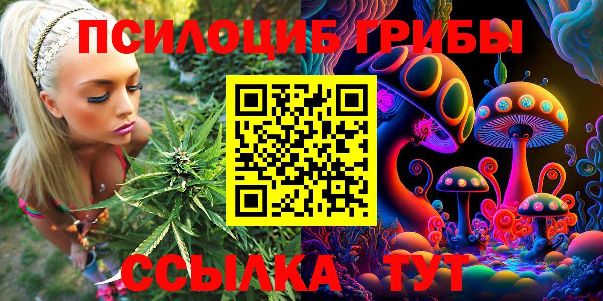 Тихорецк  Псилоцибиновые грибы прущие грибы  Вход с VPN 